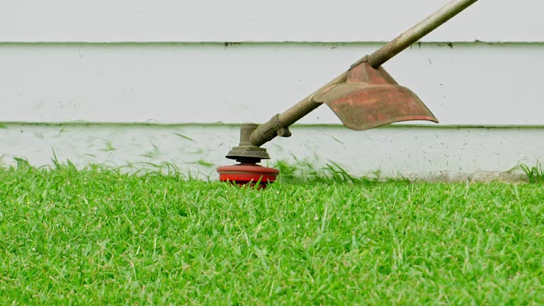 Best Storm Damage Tree Cleanup  in Spring Valley, NY